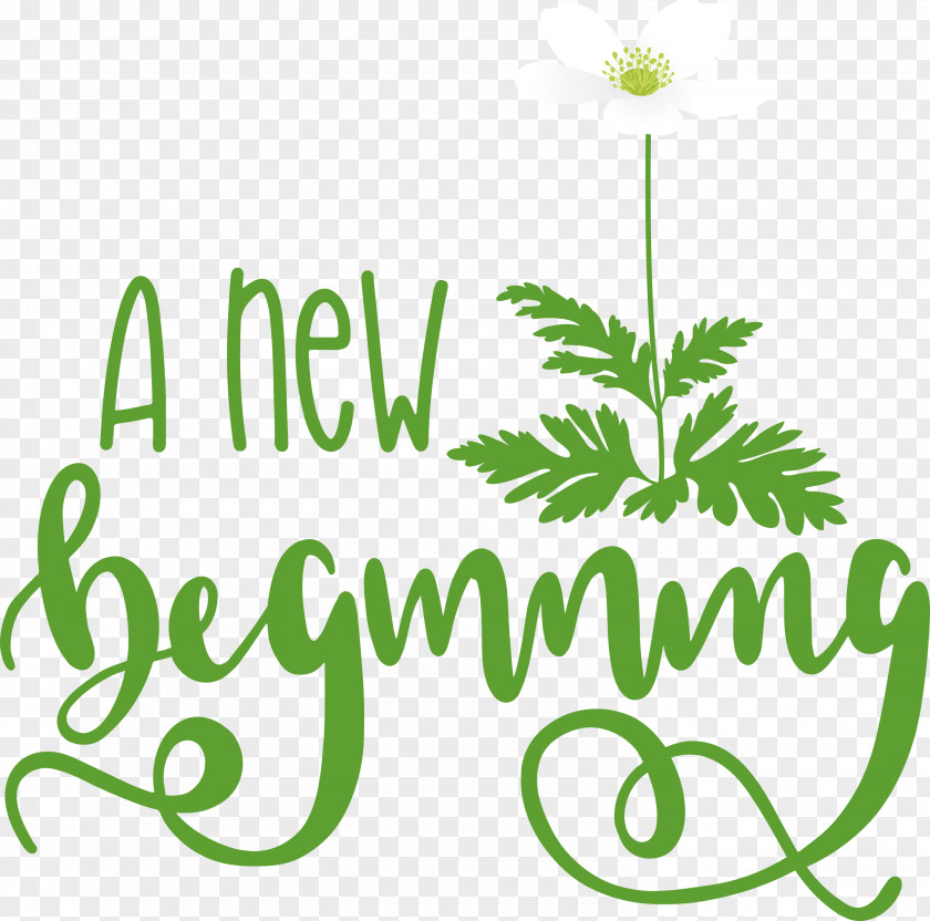 A New Beginning PNG