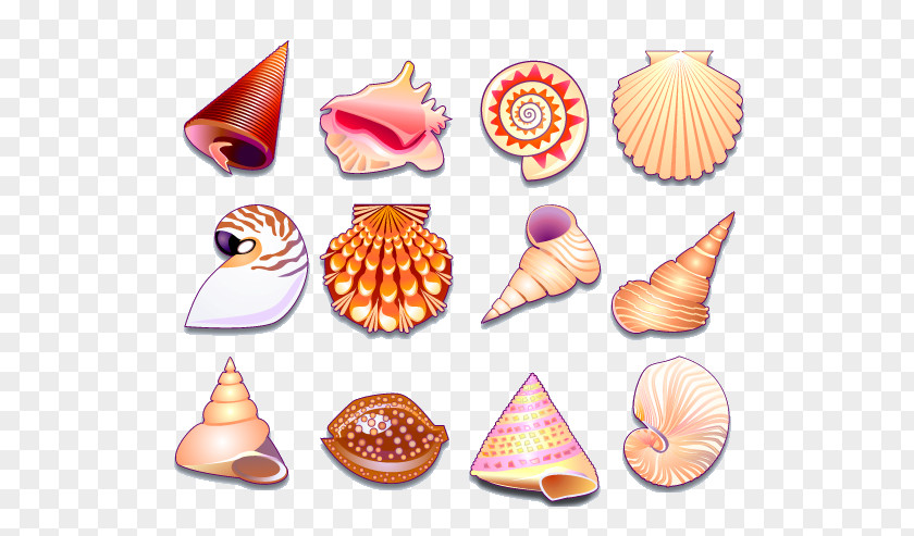 Conch Seashell Shellfish Icon PNG