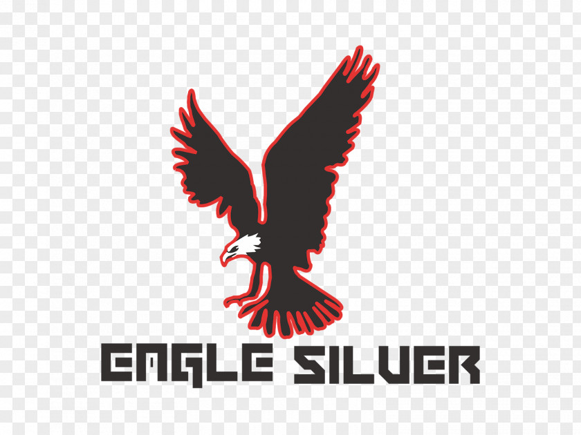 Eagle Logo Brand Flight Font PNG