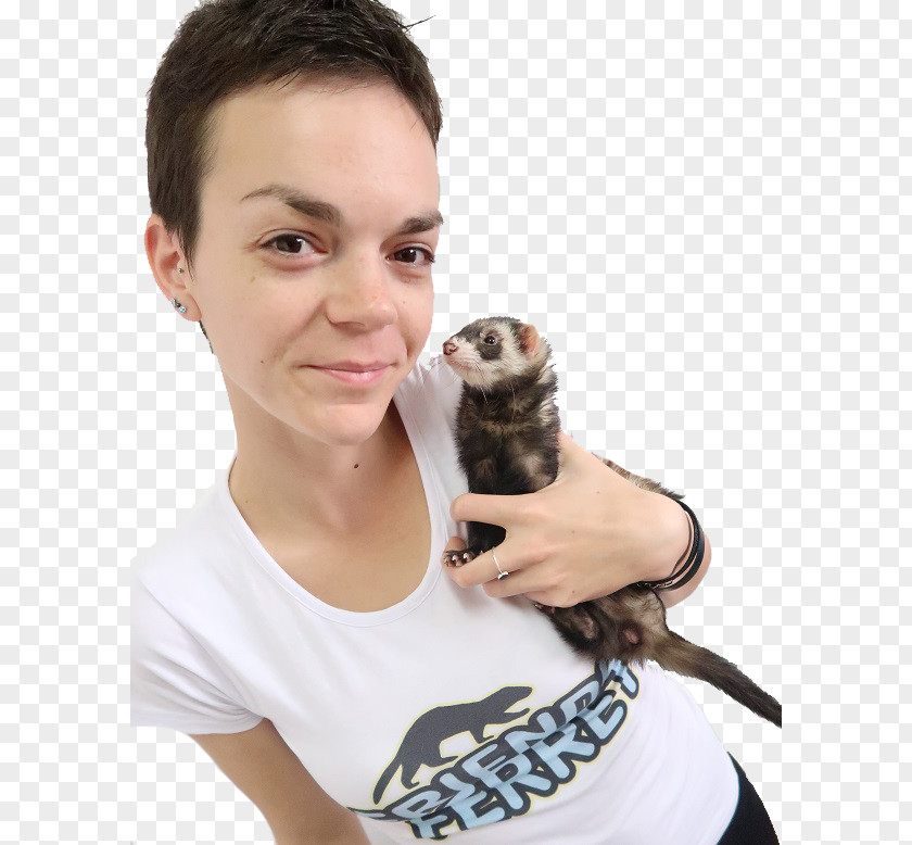 Ferret Pet Domestication Cage YouTube PNG