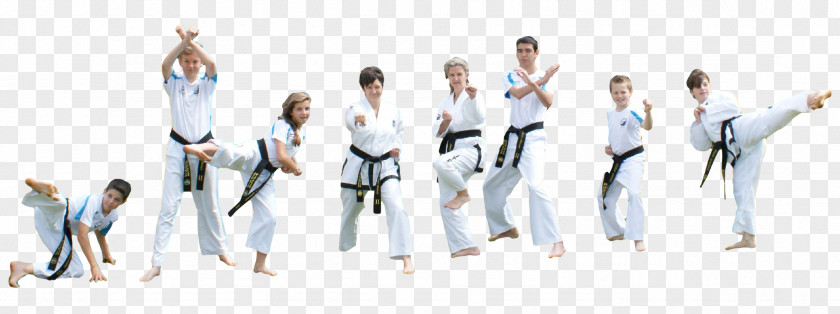 Taekwondo Protej Karate Black Belt Social Group Team PNG