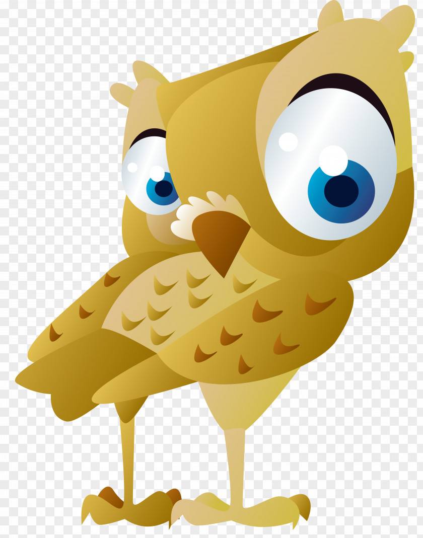Owls Owl Bird PNG