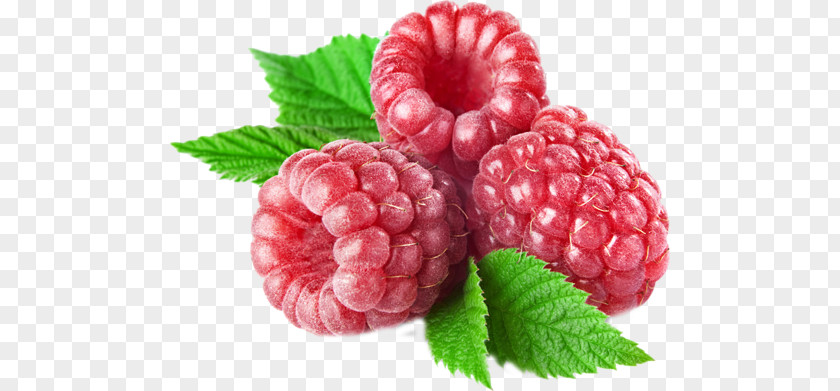 Raspberry PNG clipart PNG