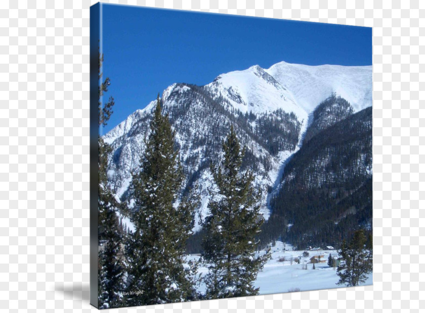 Tree Alps Glacial Landform Massif Mount Scenery National Park PNG