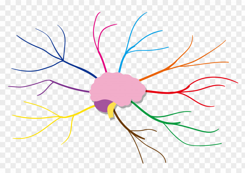 Color Radiation Brain Thinking Analysis Mind Map Sketch PNG