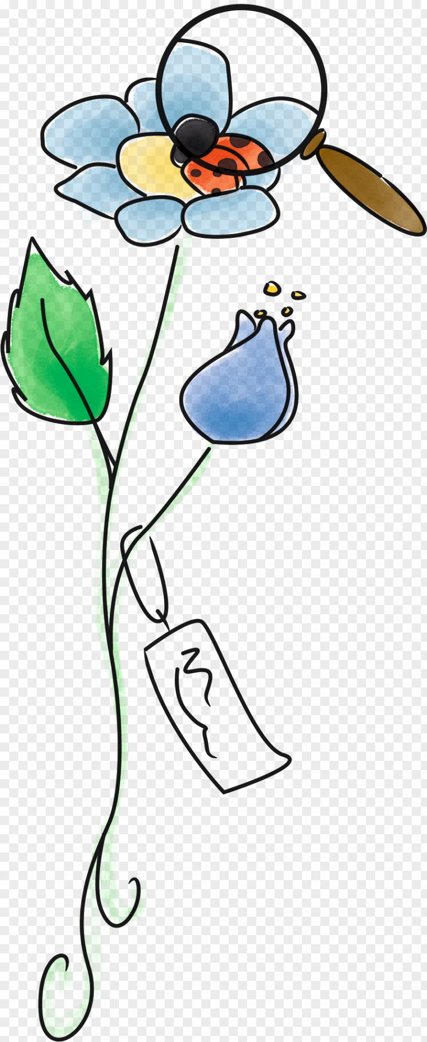 Flower Line Art Cartoon Clip PNG
