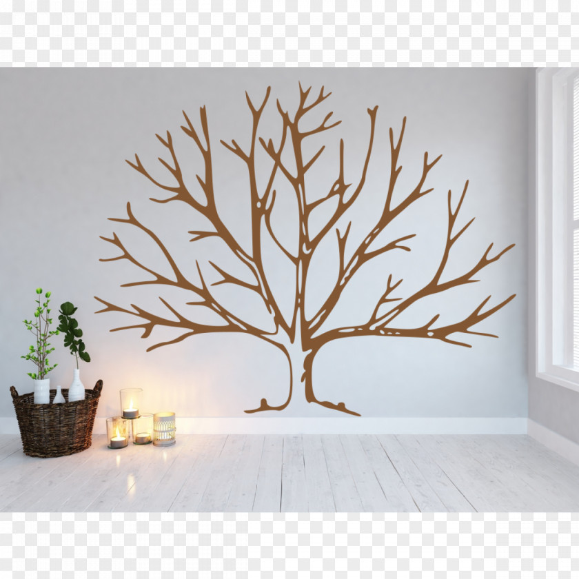 Tree Coloring Book Leaf Drawing Trunk PNG