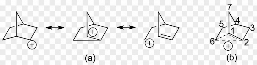 2-Norbornyl Cation Carbocation Bredt's Rule Chemistry PNG