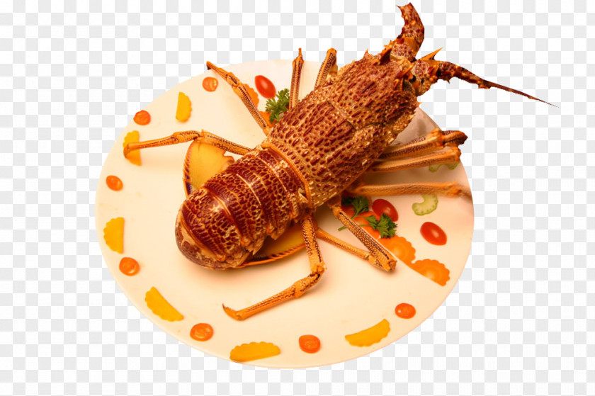 A Lobster Clasp Free Material Seafood Decapoda Palinurus Elephas Dish PNG
