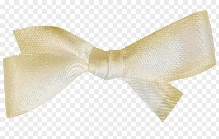 Bow Tie Ribbon PNG