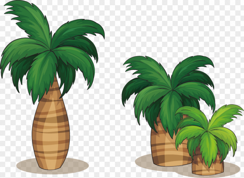 Coconut Summer Vector Arecaceae Royalty-free Drawing Illustration PNG