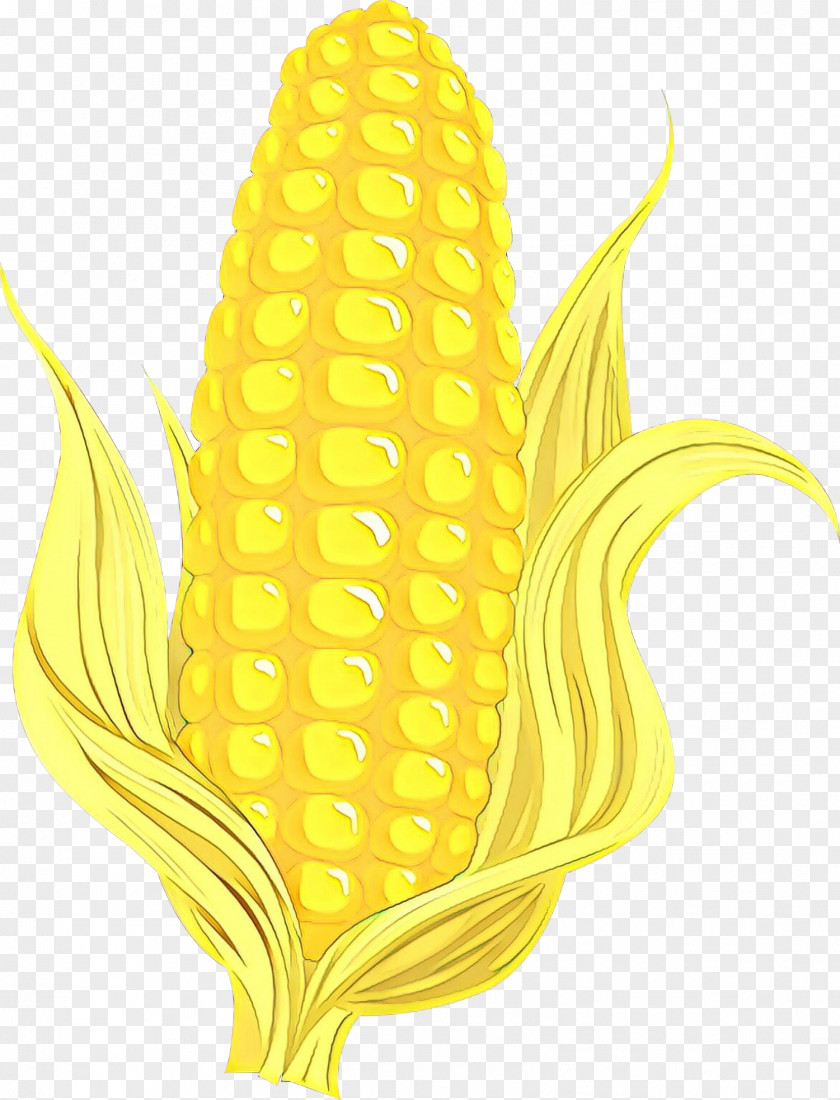 Corn Kernels Vegetarian Food On The Cob Yellow Sweet Plant PNG