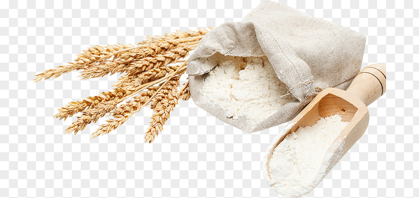 Flour Whole-wheat Ingredient PNG