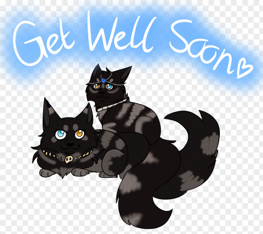 Get Well Soon Black Cat Domestic Short-haired Whiskers Paw PNG