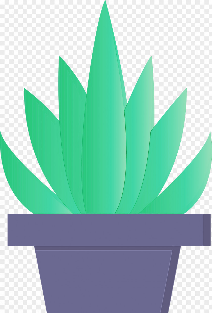 Green Flowerpot Leaf Plant Houseplant PNG