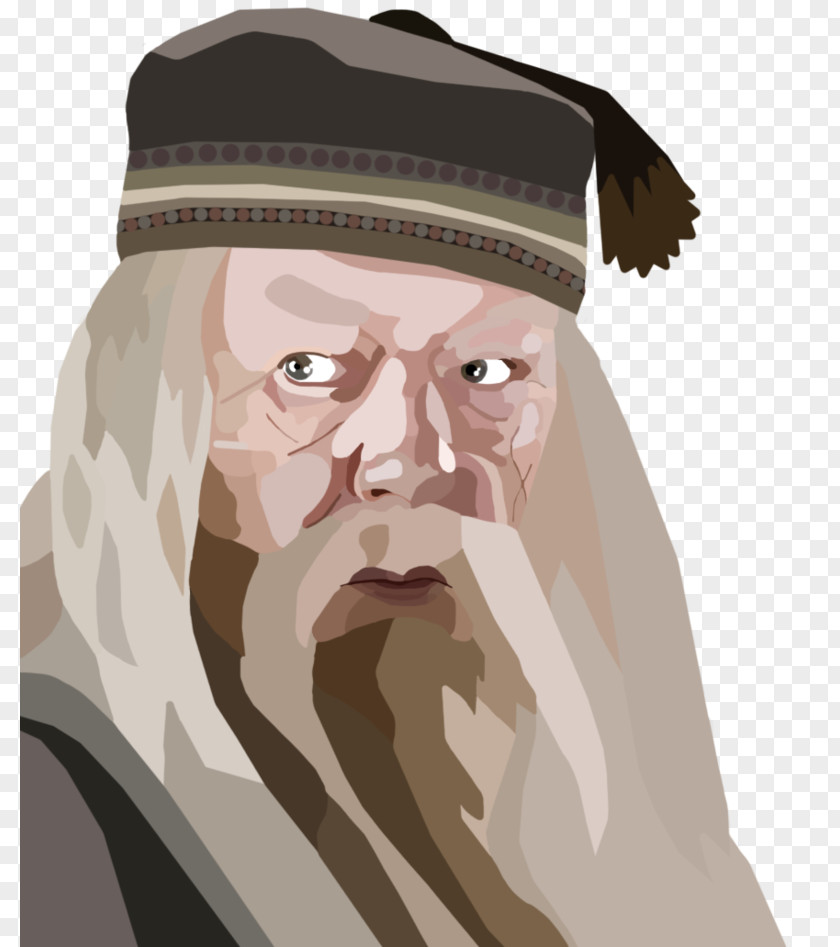 Harry Potter Albus Dumbledore Hermione Granger Ron Weasley Digital Painting PNG