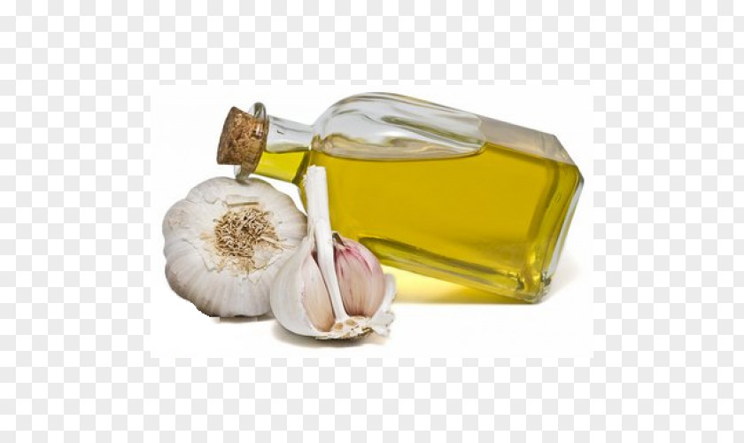 Health Benefits Of Garlic Oil Essential Herb PNG