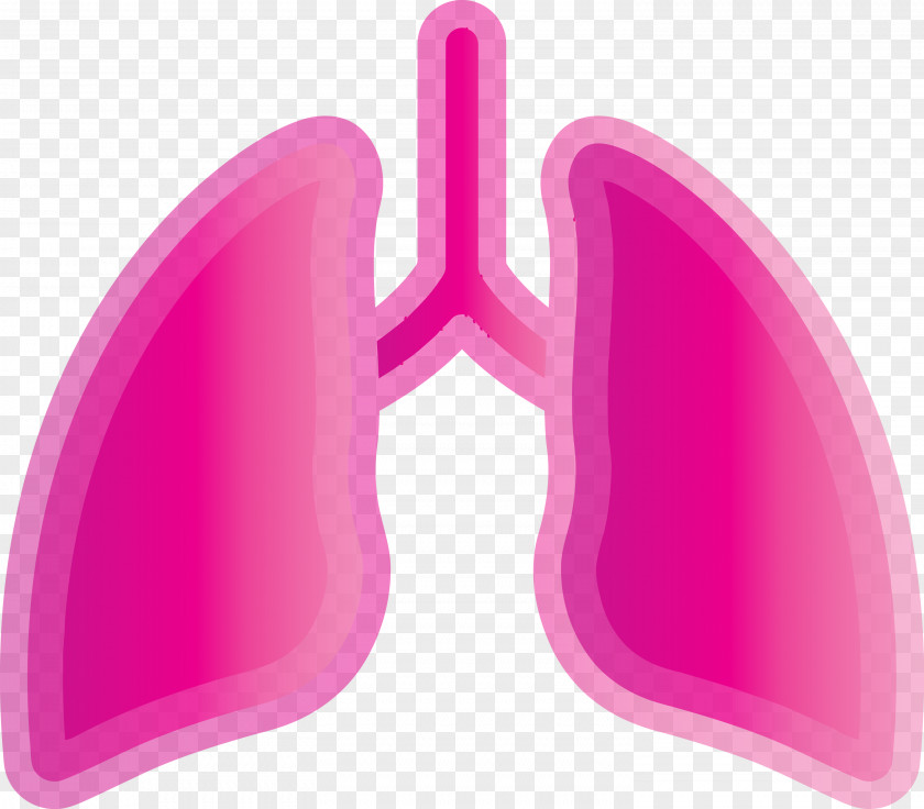 Lung Medical Healthcare PNG