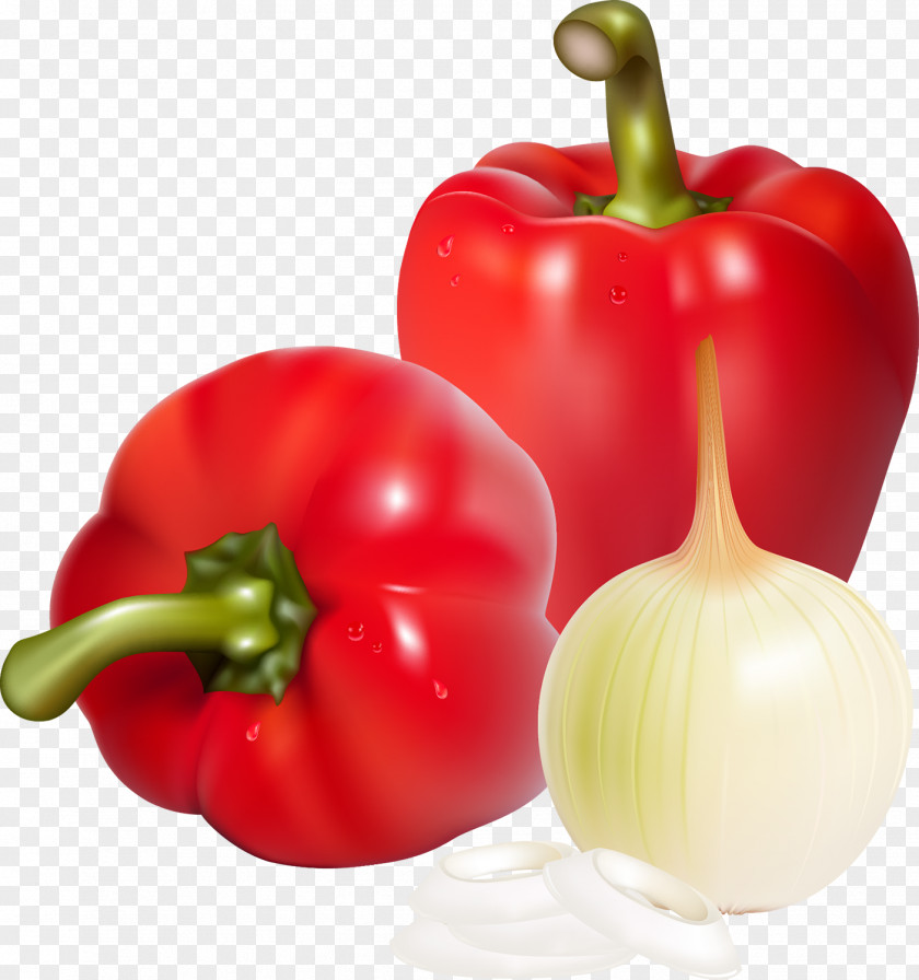 Onion Bell Pepper Red Curry Chili Clip Art PNG