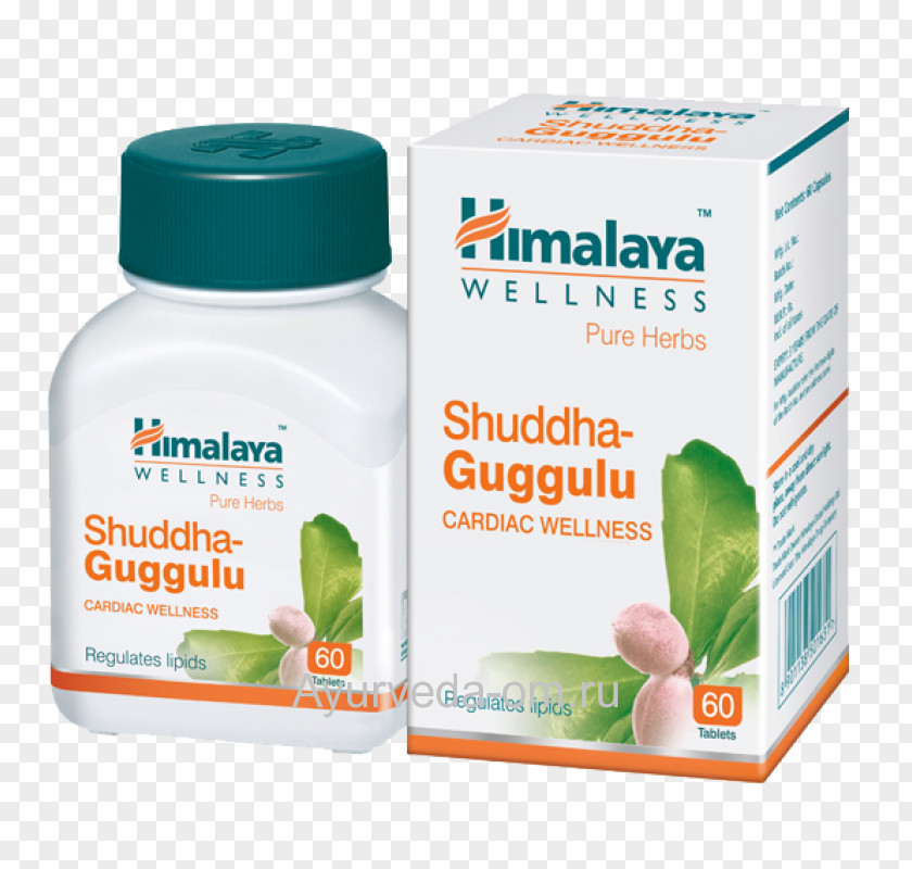 Tablet The Himalaya Drug Company Ayurveda Herbal Triphala 60 Tablets Digestion Detoxification 100% Vegetarian Ashvagandha PNG