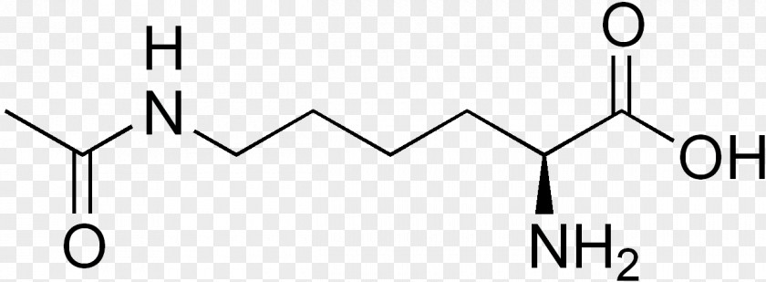 Acetyllysine Acetyl Group Amino Acid Glutamine PNG