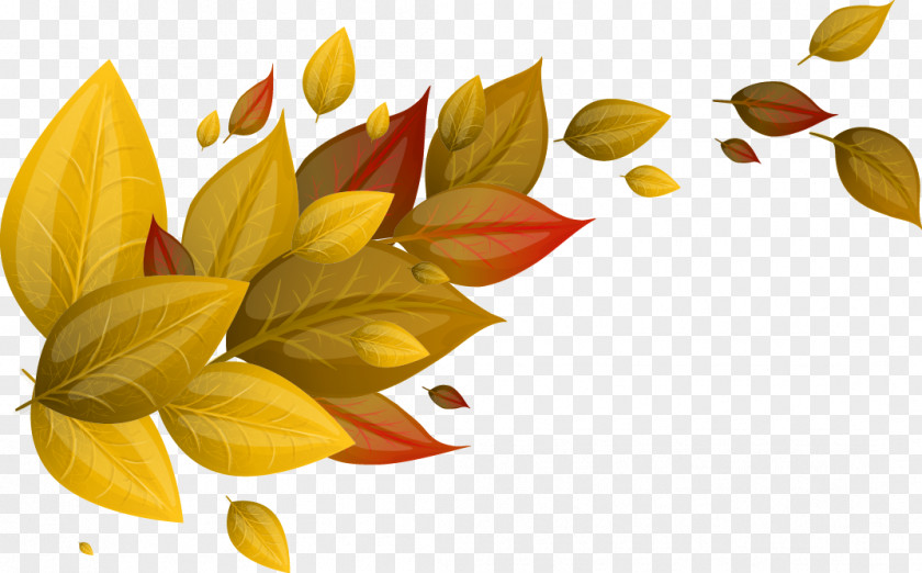 Autumn Leaves Leaf Euclidean Vector Yellow PNG