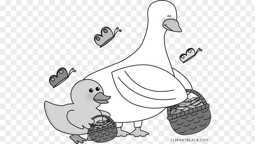 Duck Ducks, Geese And Swans Clip Art Goose Bird PNG