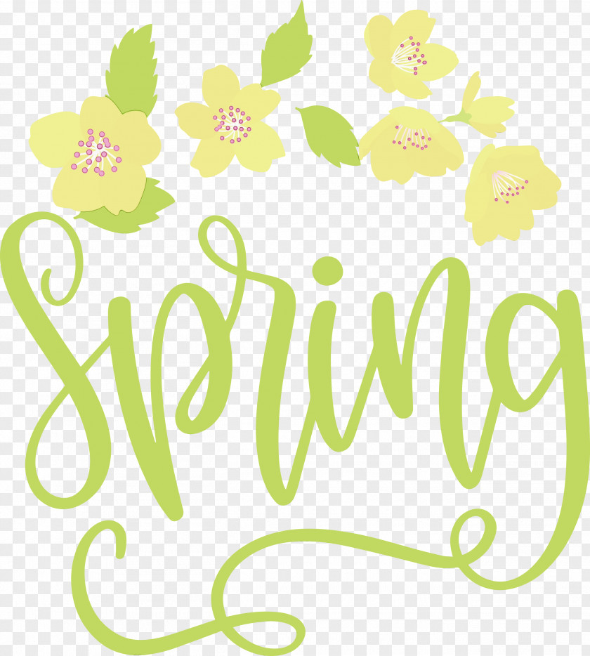 Floral Design PNG