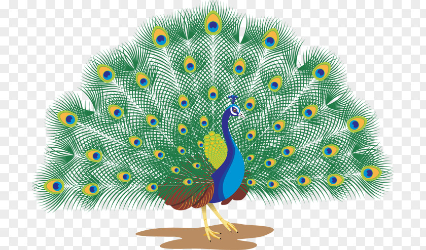 Peacock Watercolor Pavo Royalty-free Clip Art PNG