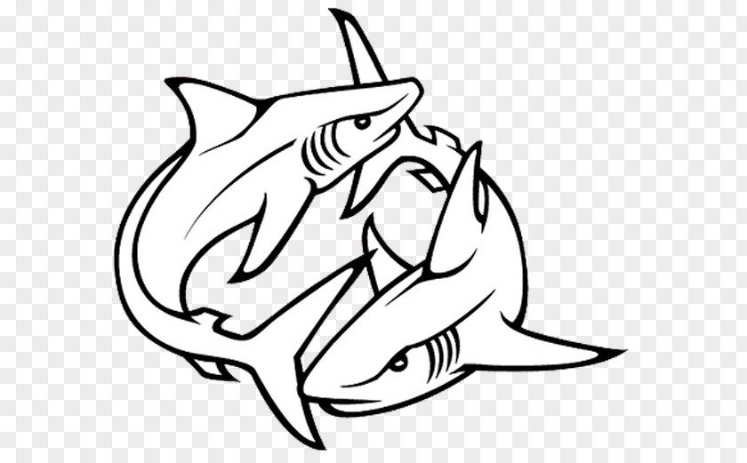 Shark Tattoo Artist Drawing PNG