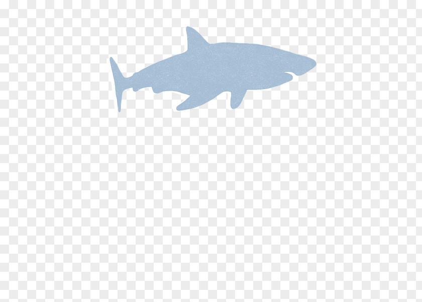 BABY SHARK Requiem Shark Chondrichthyes Marine Mammal Biology Fish PNG