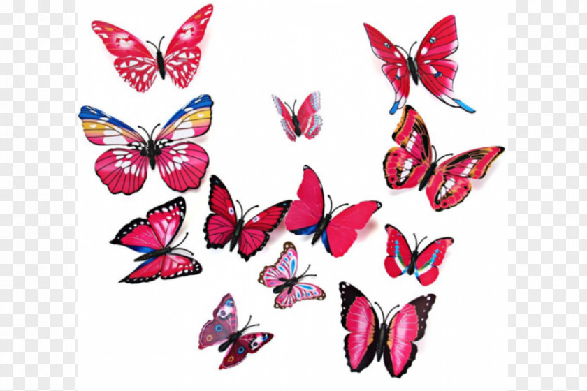 Butterfly Sticker Wall Decal Room PNG