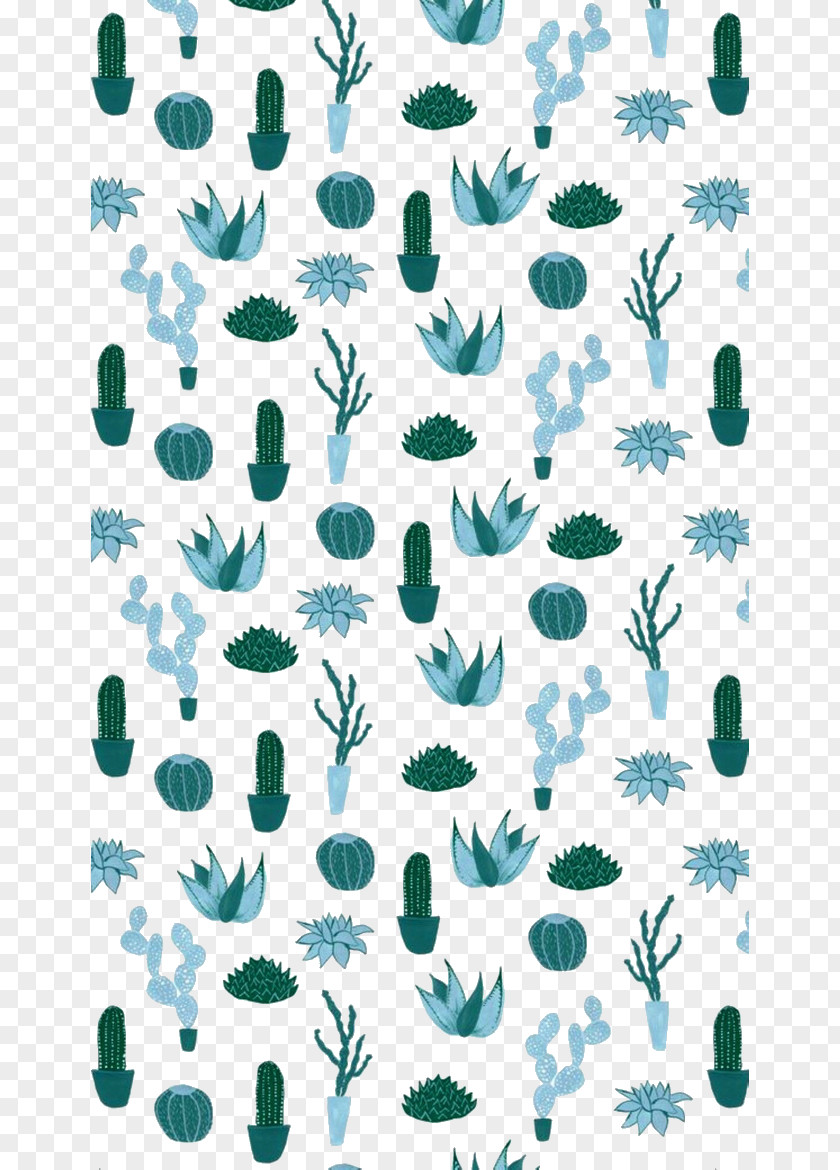 Cactus Background Cactaceae Watercolor Painting Drawing Succulent Plant PNG