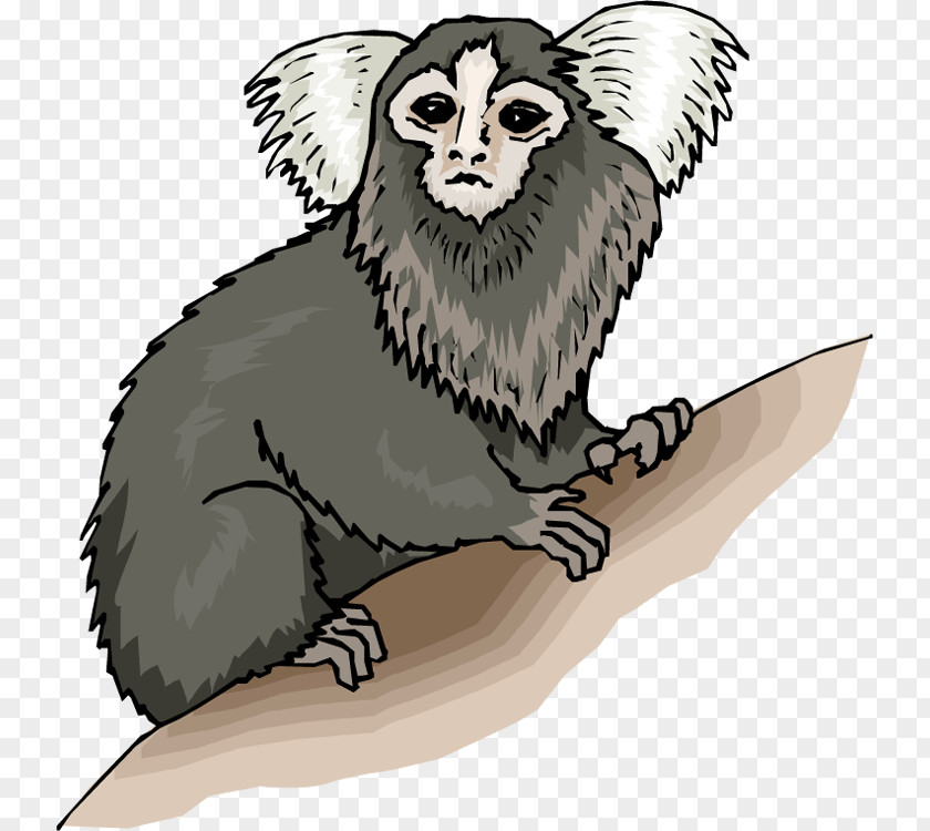 Clip On Nuts Monkey Pygmy Marmoset Art PNG