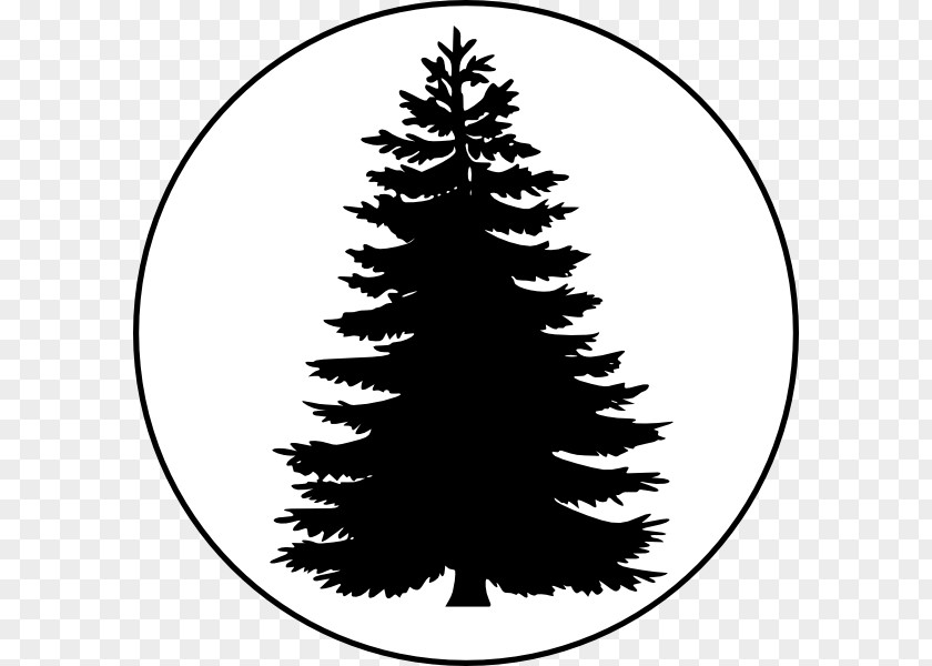 Evergreen Tree Outline Pine Conifers Clip Art PNG