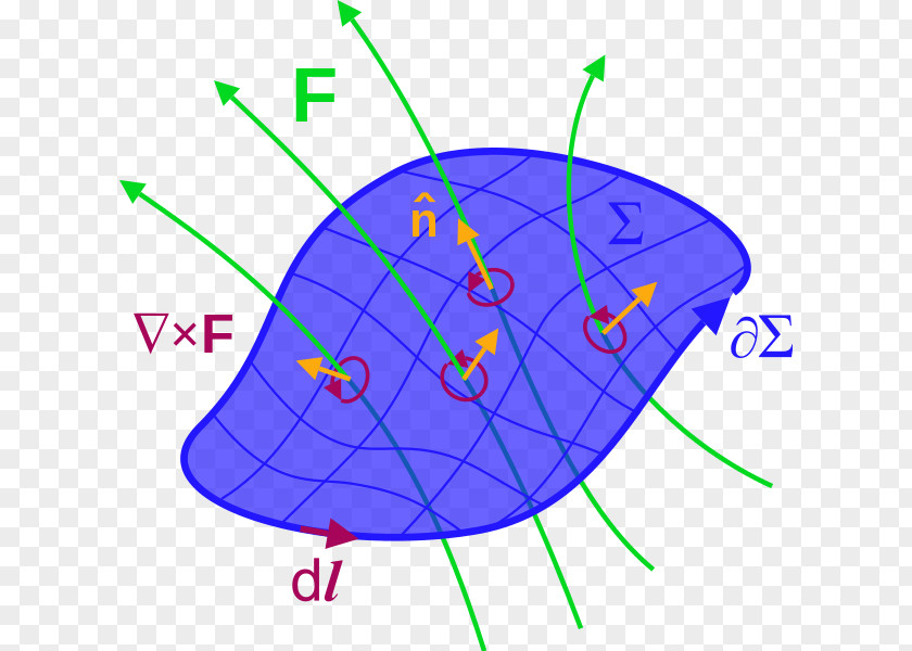 Field Vector Maxwell's Equations Area Integral Curl PNG