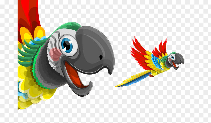 Parrot Macaw Bird Cygnini PNG