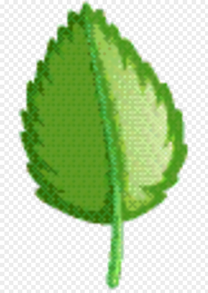 Plant Leaf Green Background PNG