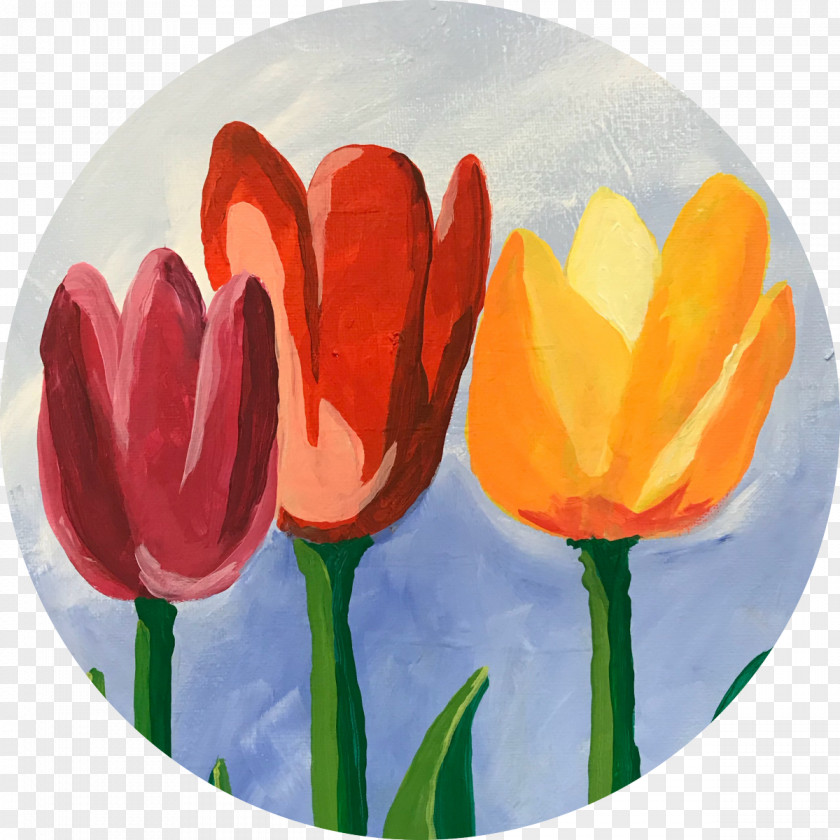 Tulip Acrylic Paint Painting Petal PNG