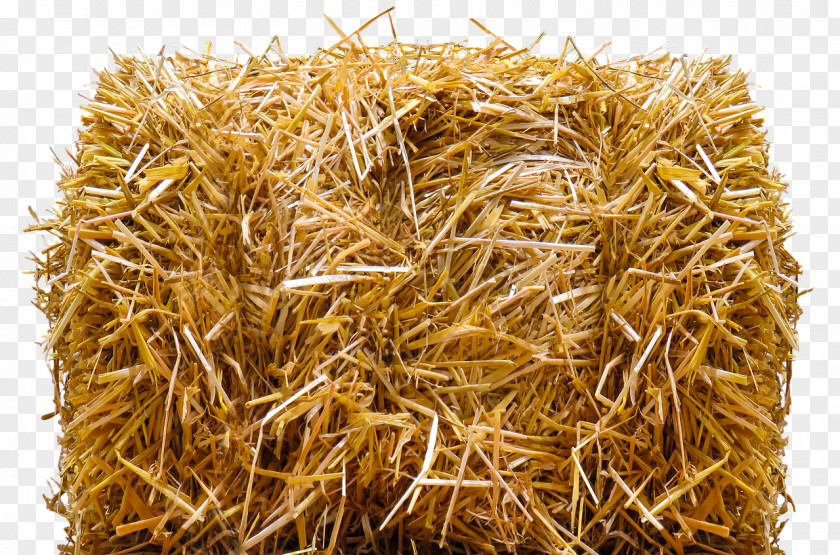 Field Straw-bale Construction Hay Baler PNG