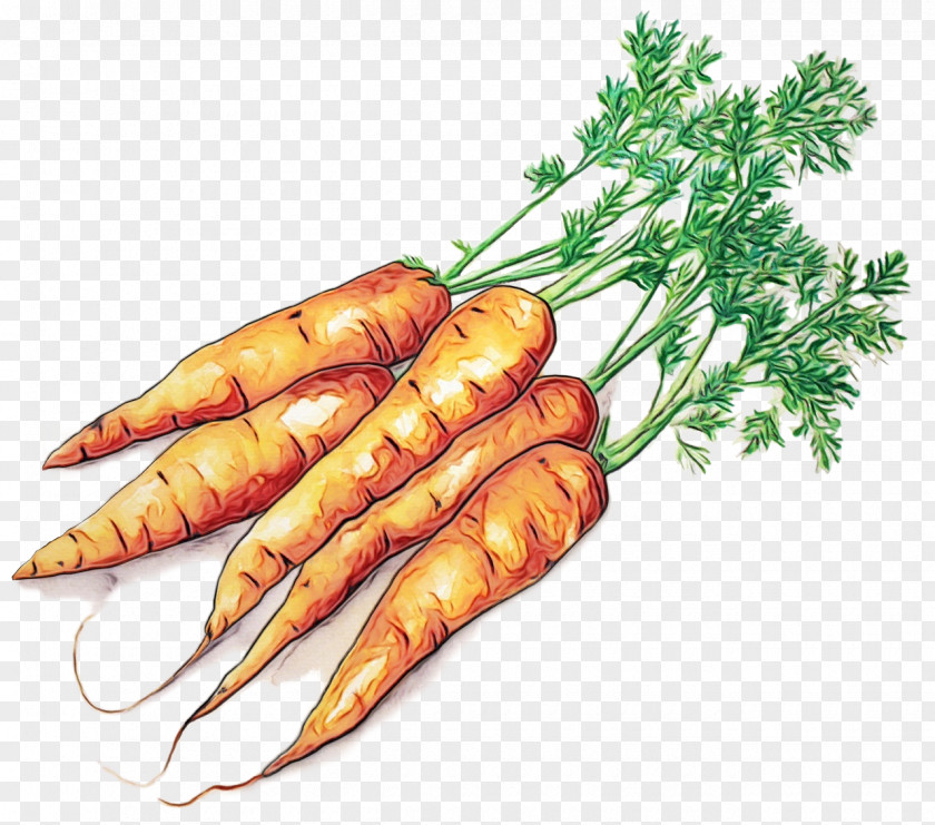 Leaf Vegetable Herb Cartoon Baby PNG