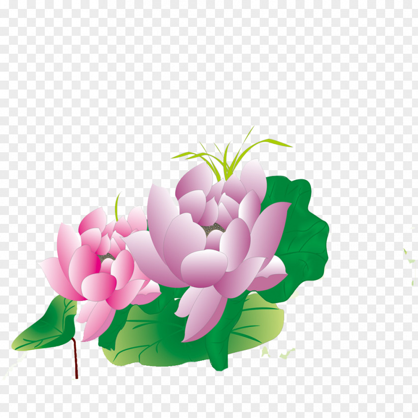 Lotus FIG. Floral Design Download Computer File PNG