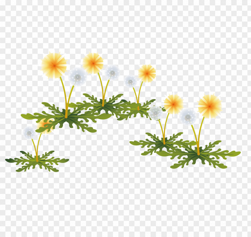 Painted Yellow Dandelion Flowers PNG