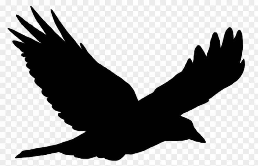 Raven Tattoo Black Common Bird Crow Clip Art Silhouette PNG