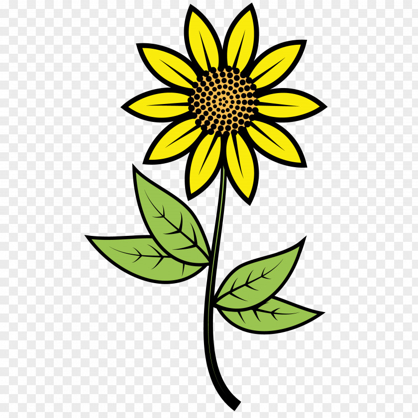 Sunflower Creative Arts Painting Common Euclidean Vector Clip Art PNG