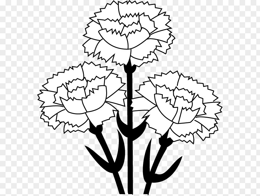 Carnation Cliparts Free Content Clip Art PNG
