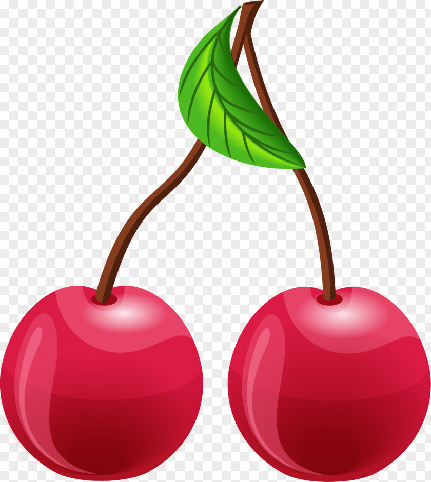 Hand Painted Red Cherry Cake PNG