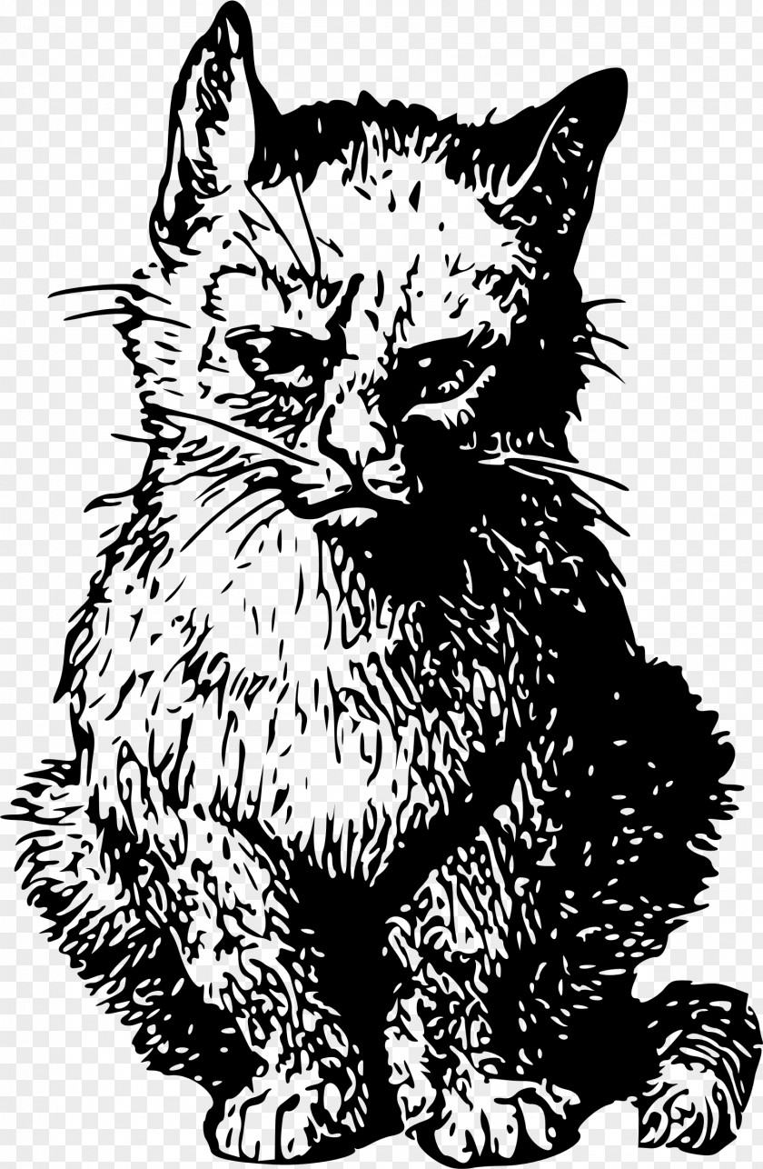Meng Cat Kitten Whiskers Clip Art PNG