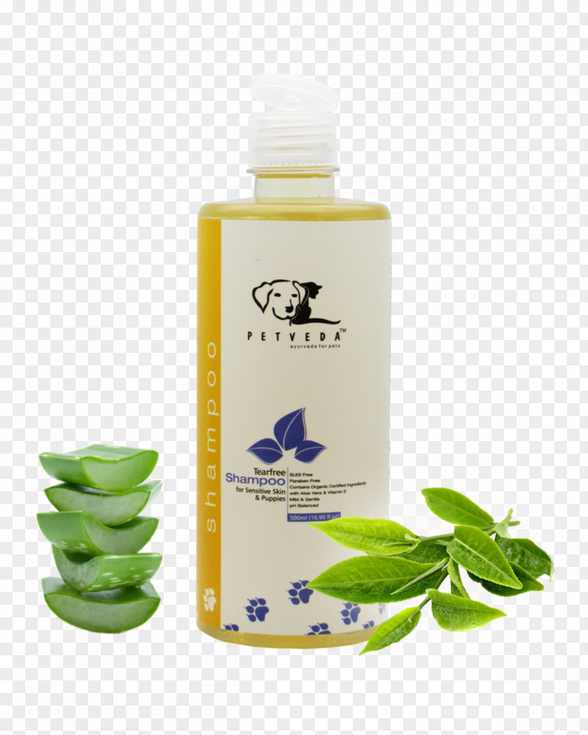 Tea Tree Lotion Shampoo Petveda Sodium Laureth Sulfate Hair Conditioner PNG