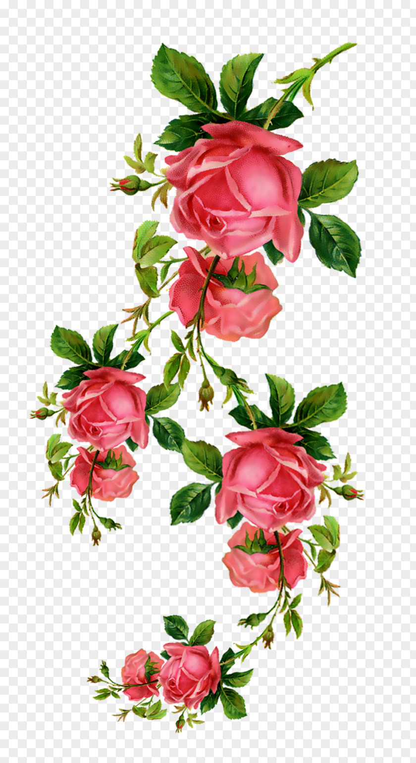 520 Clipart Flower Rose Blume Clip Art PNG